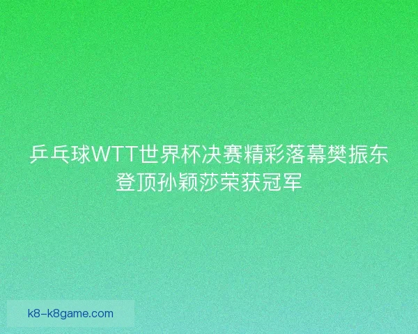 乒乓球WTT世界杯决赛精彩落幕樊振东登顶孙颖莎荣获冠军